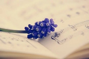 海保人壽倍加爾保重大疾病保險(xiǎn)有哪些優(yōu)缺點(diǎn)