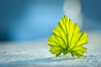中國人壽的住院醫(yī)療