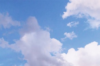 意外險屬于社會保險嗎