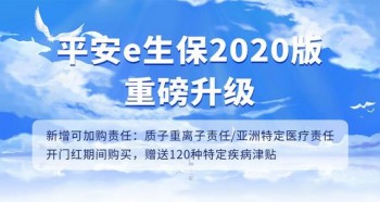 平安e生保2020有哪些優(yōu)缺點