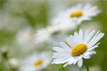 有什么好的住院醫(yī)療險(xiǎn)