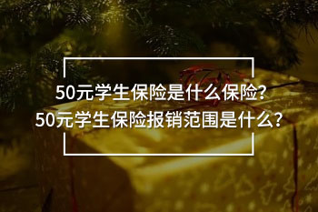 50元學(xué)生保險報銷范圍
