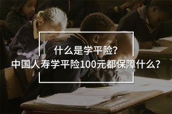 中國人壽學(xué)平險100元的條款