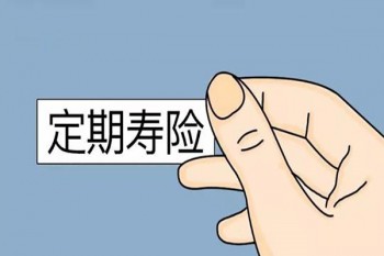 瑞泰人壽瑞和定期壽險條款