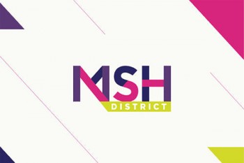 msh高端醫(yī)療保險招聘