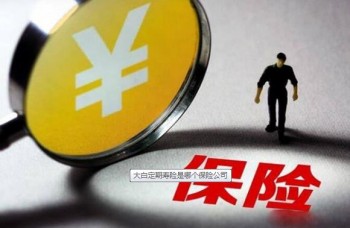 大白定期壽險