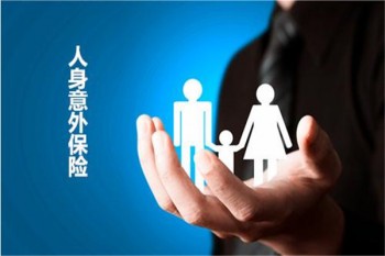 小蜜蜂全年綜合意外保險多少錢