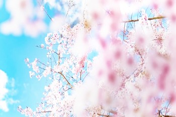 給孩子買(mǎi)重疾險(xiǎn)有必要嗎