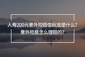 人壽200元意外險(xiǎn)賠償標(biāo)準(zhǔn)