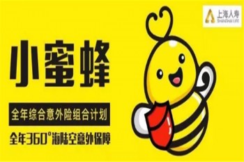小蜜蜂全年綜合意外保險(xiǎn)有哪些優(yōu)缺點(diǎn)