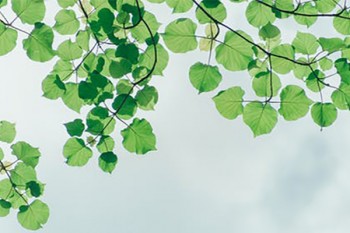 支付寶上的防癌險(xiǎn)靠譜嗎