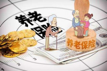 如果看價(jià)格和條款，哪家重疾險(xiǎn)好