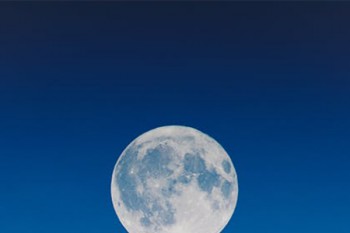 支付寶全民保定期壽險可以退嗎   