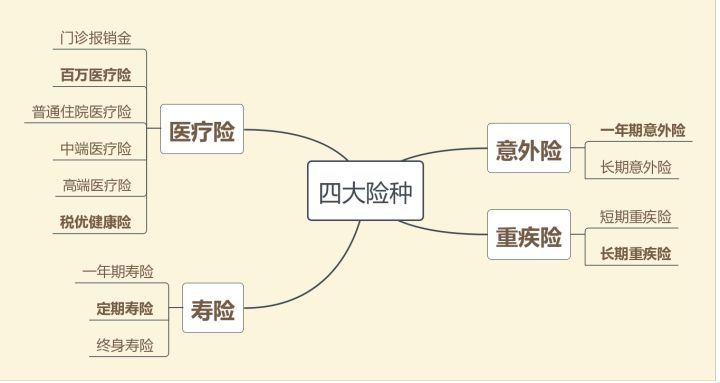 主要的險種
