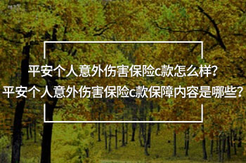 平安個(gè)人意外傷害保險(xiǎn)c款