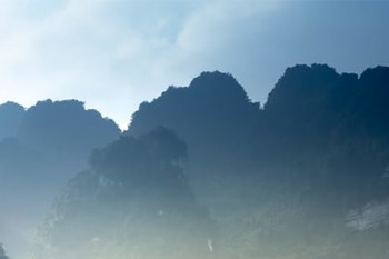 平安駕乘意外保險基礎版