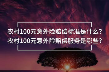 農(nóng)村100元意外險賠償標(biāo)準(zhǔn)