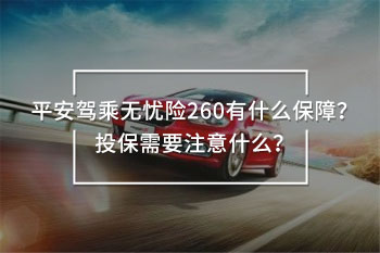 平安駕乘無憂險260詳細(xì)