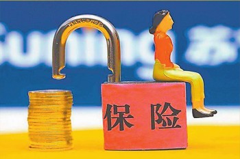 尊享e生爸媽版2020產(chǎn)品介紹