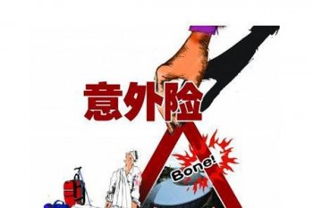 平安成人意外險(xiǎn)極致版多少錢