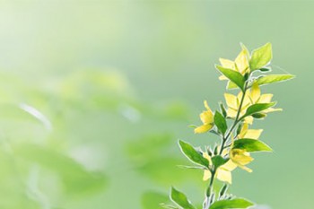 好醫(yī)保第二年怎么保費(fèi)不一樣