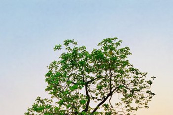 海峽愛相隨綜合意外險(xiǎn)
