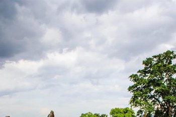 橫琴人壽無憂人生2020在哪里買