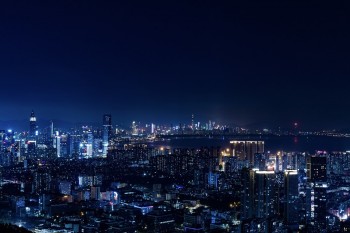 退保