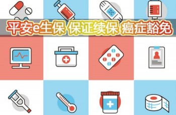 e生保保證續(xù)保版