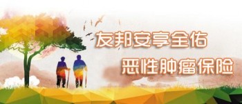 安享全佑