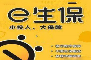 平安2020e生保繳費(fèi)表