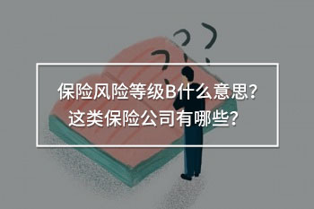 保險風險等級B什么意思