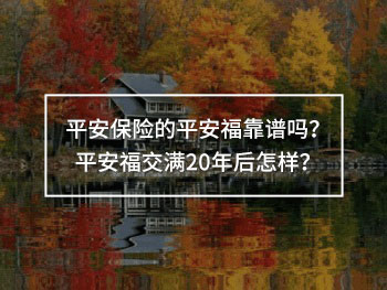 平安福產(chǎn)品怎么樣
