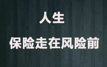 天安人壽暢行天下兩全保險