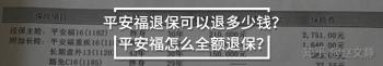 平安福退保