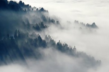 好醫(yī)保是正規(guī)保險公司嗎