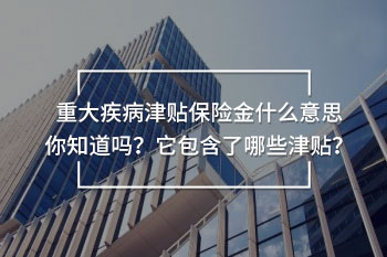 重大疾病津貼保險(xiǎn)金什么意思