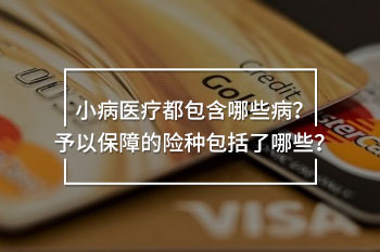 小病醫(yī)療都包含哪些病
