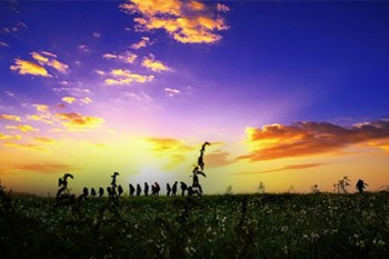 華泰保險(xiǎn)百萬(wàn)醫(yī)療條款g