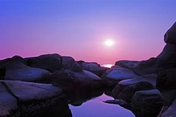 晴天寶寶保險(xiǎn)是哪個(gè)公司的
