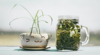 醫(yī)保進(jìn)行異地就醫(yī)