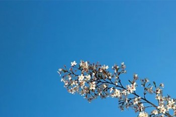平安少兒意外險(xiǎn)怎么樣