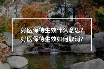 好醫(yī)保待生效什么意思