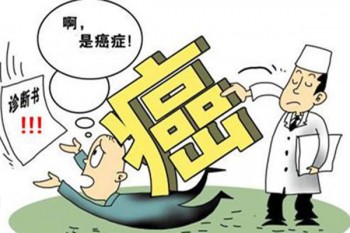 晴天保保超越版多少錢