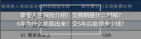 摯愛(ài)人生保險(xiǎn)