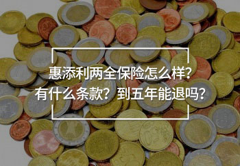 惠添利兩全保險(xiǎn)