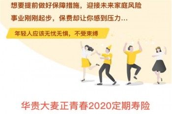 大麥正青春2020定期壽險有哪些優(yōu)缺點(diǎn)