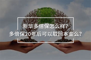 金佑人生終身壽險怎么樣