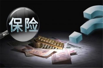 e生保2020和e生保保證續(xù)保版