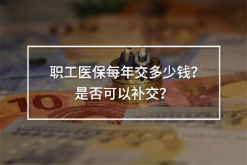 職工醫(yī)保每年交多少錢